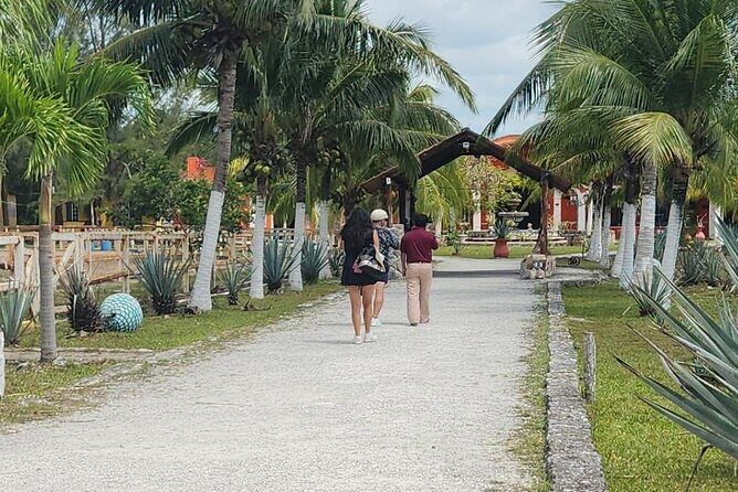 All Inclusive Mayan Ruins EN Buggy & Snorkeling Tour - FAQs