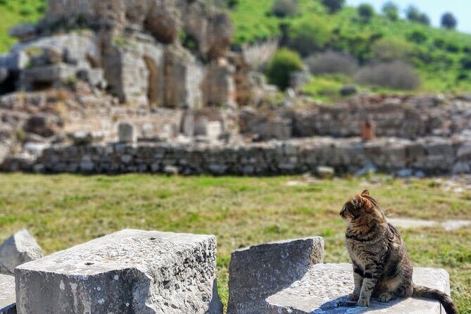 All Inclusive Private Half-Day Ephesus and Sirince Village Tour with Lunch - Frequently Asked Questions (FAQs)