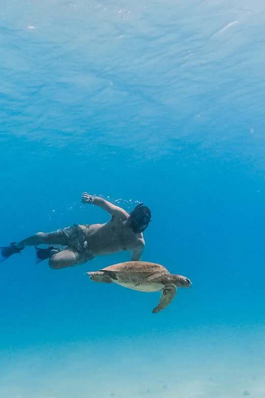 All-inclusive Snorkel in Balandras Hidden beaches, La Paz - Key Points