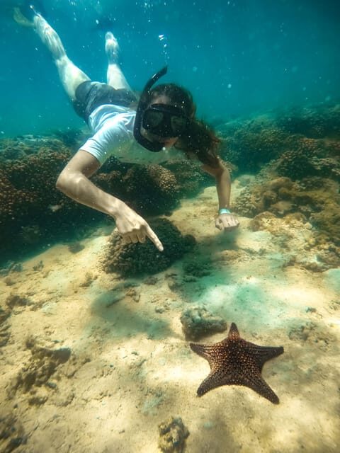 All-inclusive Snorkel in Balandras Hidden beaches, La Paz - FAQ