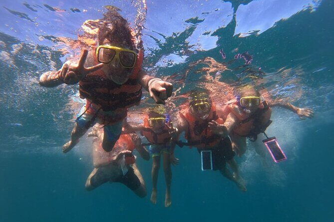 ALL INCLUSIVE Snorkeling and Zipline Cruise - The Ziplining Adventure