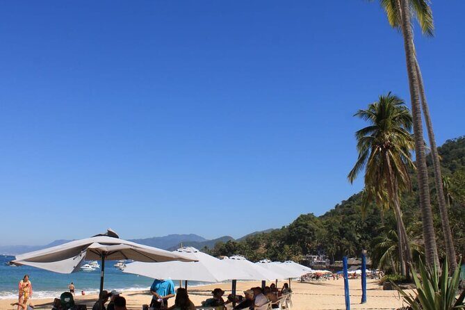 ALL INCLUSIVE Snorkeling and Zipline Cruise - Value and Price Point