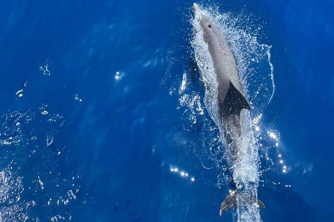 All Inclusive Tour to Delos and Rhenia Islands with S/Y Olga M - FAQs