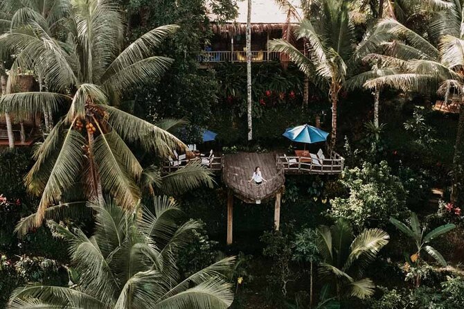 All-Inclusive Ubud Private Tour - Tegalalang Rice Terrace: Subak Irrigation Explained Through the View
