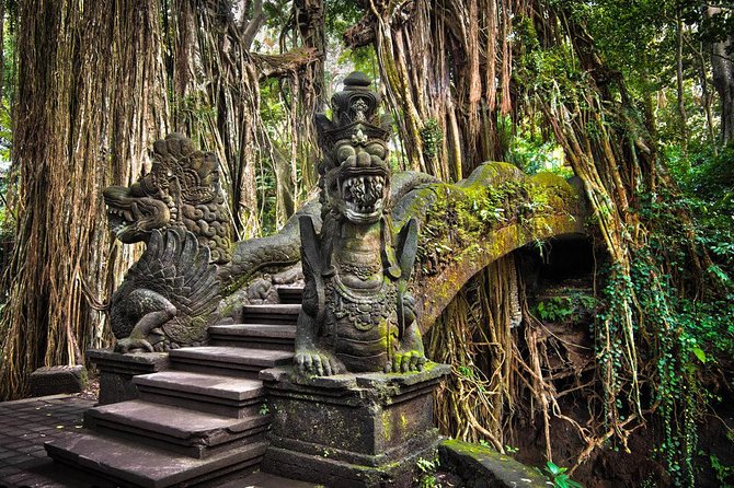 All-Inclusive Ubud Private Tour - Ubud Swing Experience: Included Dress and the Photo-Perfect Pause