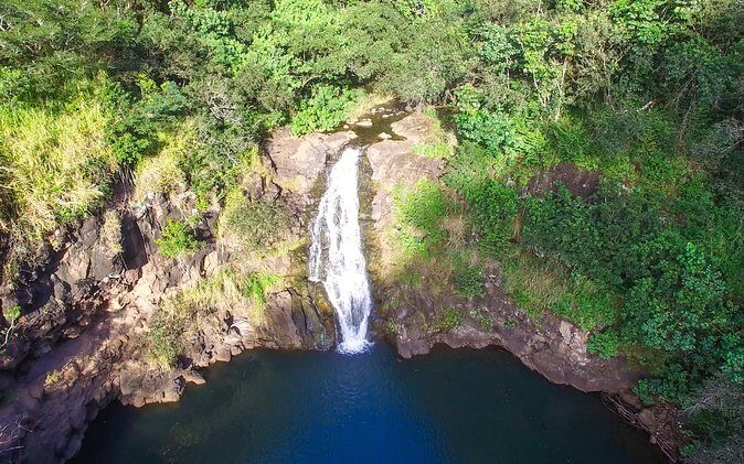 All Inclusive Ultimate Circle Island Tour, Waimea Falls & Lunch - Key Points