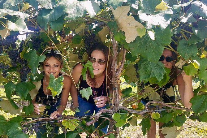 All Inclusive VIP Wine or Beer Tour in Hudson Valley - FAQ