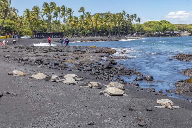 All-Inclusive: Volcanoes, Lava Tube & Black Sand Beach Tour - Key Points