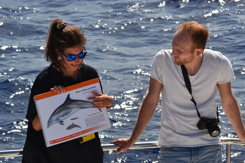 All Inclusive Whale and Dolphin Watching Luxury Tour - The VIP Part Isn’t Just the Boat