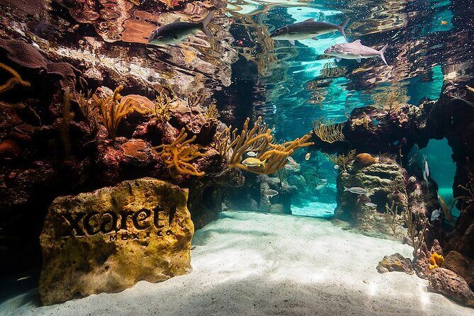 All-inclusive Xcaret Park with Transportation from Cancun & Playa Del Carmen - The Experience from the Reviews