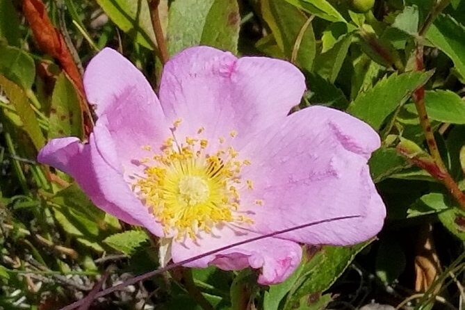 All Island Bus Tour - Practical Details