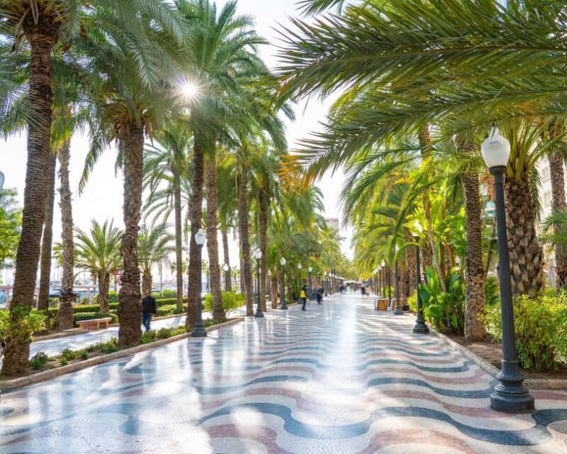 All of Alicante with the Castle, Market, and Tapas. Small group, max 6 people - Practical Details and Considerations