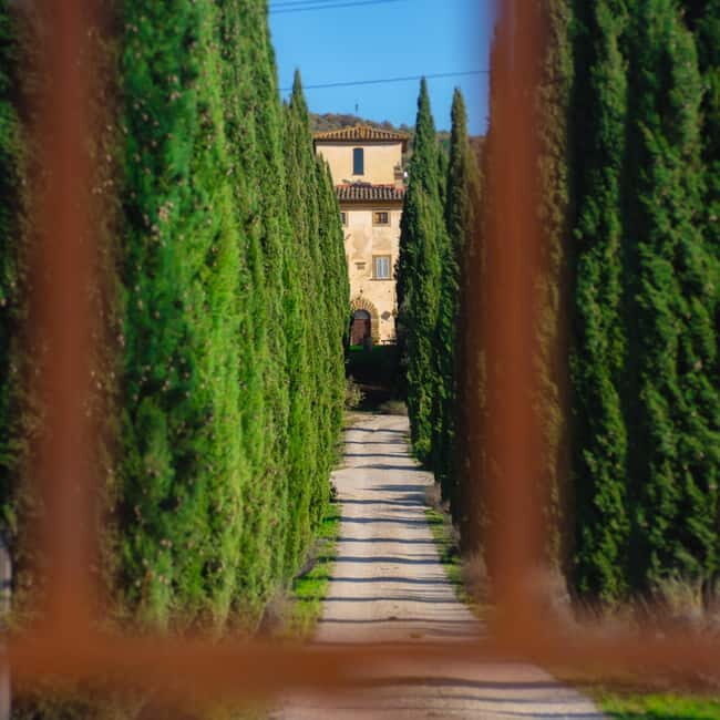 All Tuscany Wine Tour - Key Points