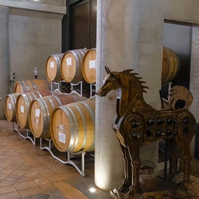 All Tuscany Wine Tour - What Travelers Are Saying