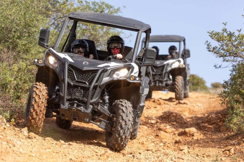 Almancil: Algarve Guided Off-Road Buggy Adventure - Key Points