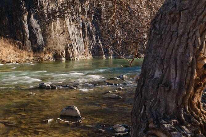 Almaty Wonders Charyn Canyon and Kolsay Lake in One Day - The Pros and Cons