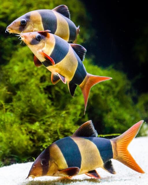 Almería: Aquarium Costa de Almería Entry Ticket - Practical Tips for Your Visit