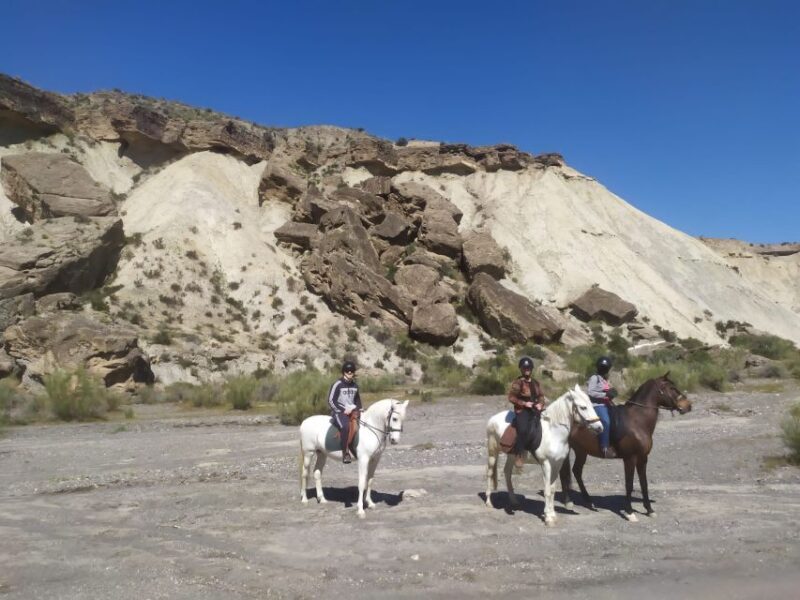 Almeria: Horse Riding Tour Through the Tabernas Desert - What To Expect on Your Horseback Ride
