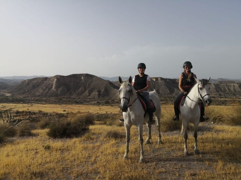 Almeria: Horse Riding Tour Through the Tabernas Desert - Why This Tour Offers Good Value
