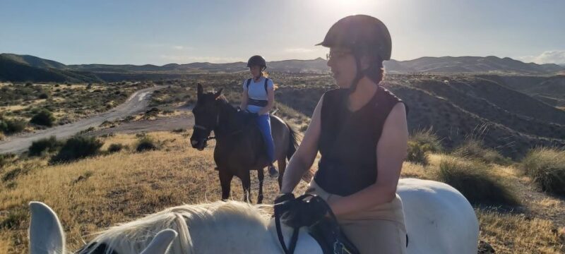 Almeria: Horse Riding Tour Through the Tabernas Desert - Who Is This Tour Best For?