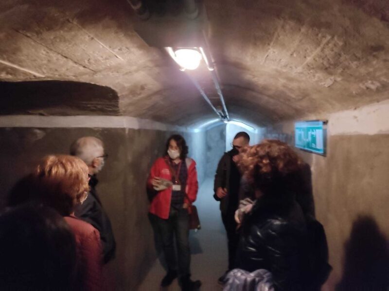 Almeria: Spanish Civil War Shelters Ticket and Official Tour - A Closer Look at the Experience