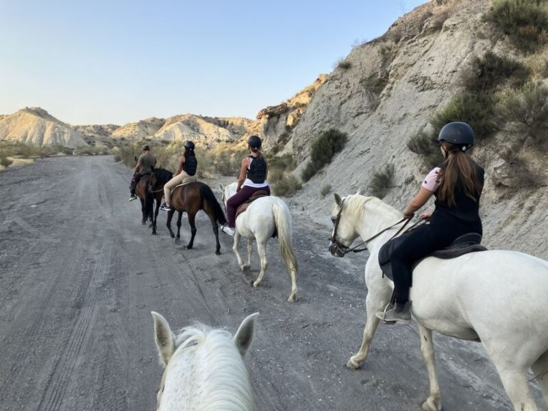 Almeria: Tabernas Desert Horse Riding for experienced riders - Key Points