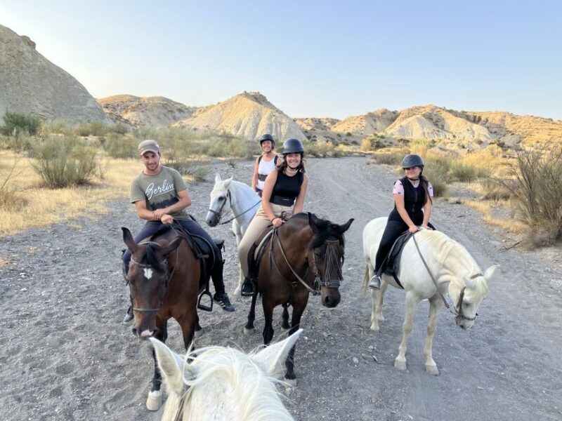 Almeria: Tabernas Desert Horse Riding for experienced riders - Riding Experience and the Horses