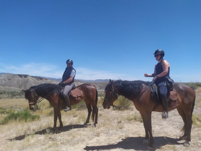 Almeria: Tabernas Desert Horse Riding for experienced riders - Who Will Love This Tour?