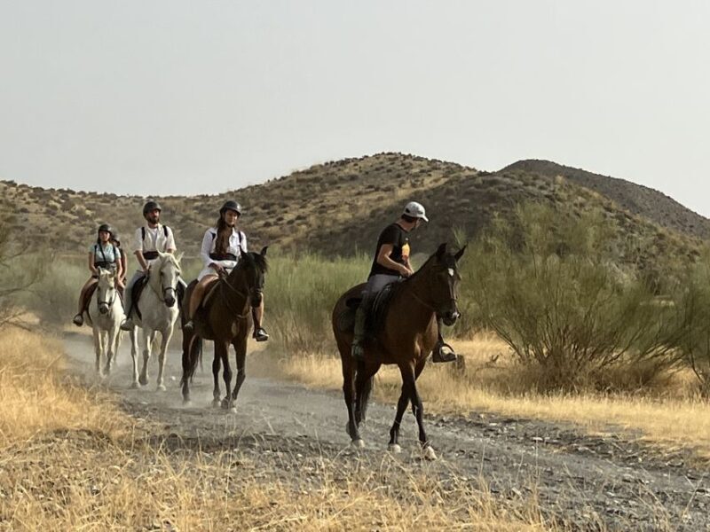 Almeria: Tabernas Desert Horse Riding for experienced riders - FAQ