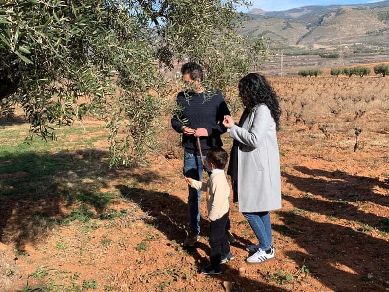 Almería: Wine tour and aperitif from La Alpujarra in Winery - Key Points