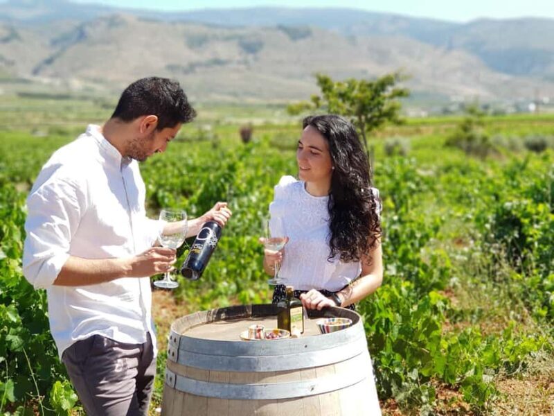 Almería: Wine tour and aperitif from La Alpujarra in Winery - Setting the Scene: What to Expect