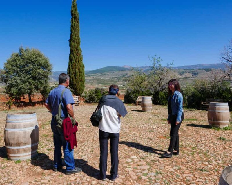 Almería: Wine tour and aperitif from La Alpujarra in Winery - Practical Details and Considerations