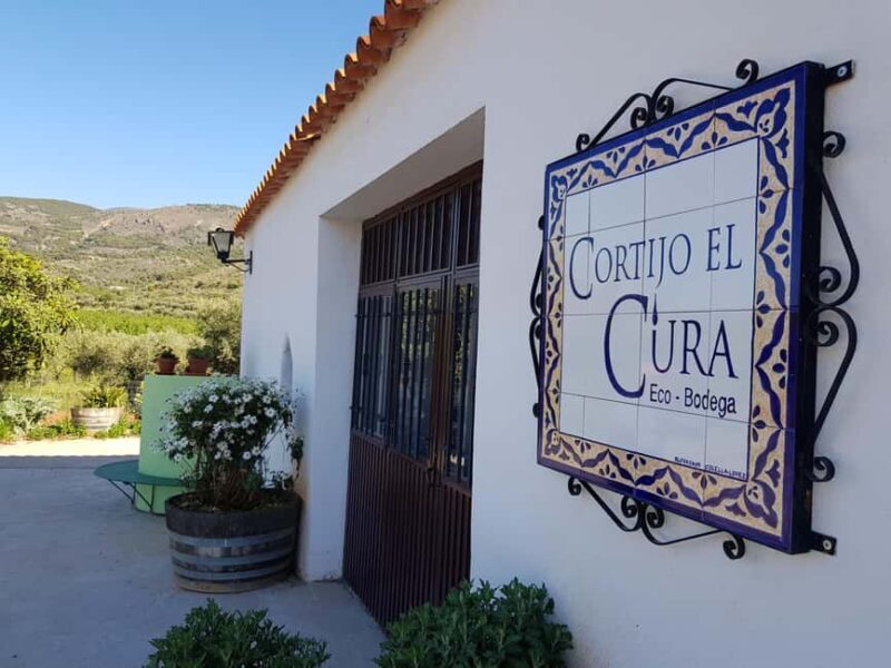 Almería: Wine tour and aperitif from La Alpujarra in Winery - Is it Worth the Price?