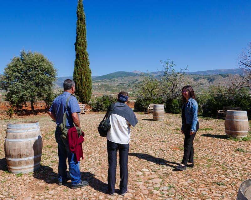Almería: Wine tour and tasting in Organic Winery - A Closer Look at the Experience