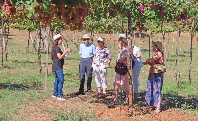 Almería: Wine tour and tasting in Organic Winery - Frequently Asked Questions