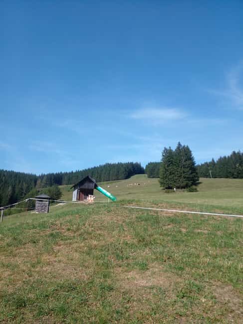 Alp Mountains Tour - Duration and Flexibility