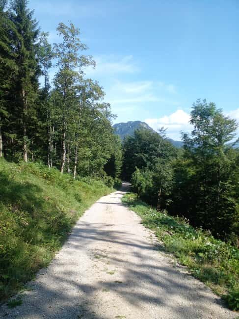 Alp Mountains Tour - The Experience and What Travelers Say