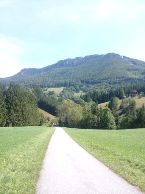 Alp Mountains Tour - Pros and Cons from User Feedback