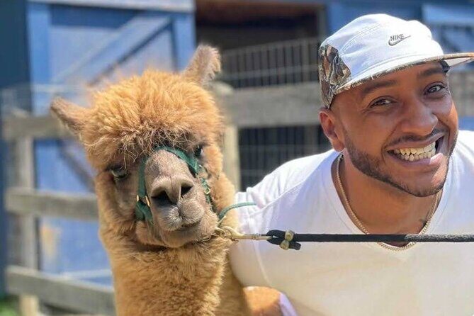 Alpaca and Llama Trek in Pleasant Valley - FAQ