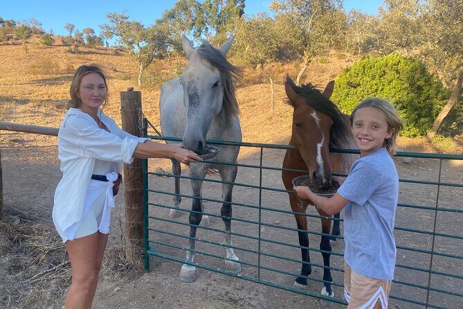 Alpaca Meet and Feed in Grândola - Value, Price, and Practical Tips