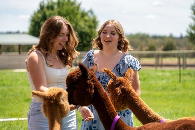 Alpaca Picnic Experience in Oregon - Who Is This Tour Best For?