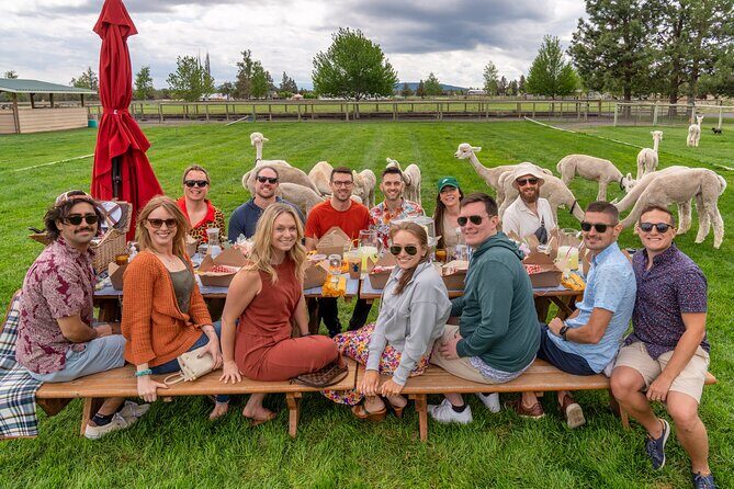 Alpaca Picnic Experience in Oregon - The Sum Up