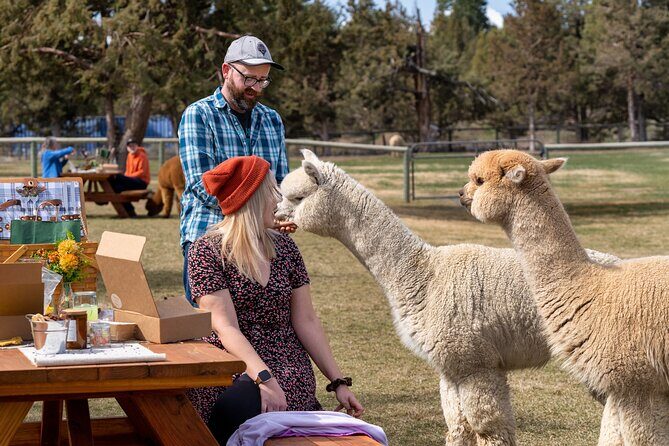 Alpaca Picnic Experience in Oregon - FAQ