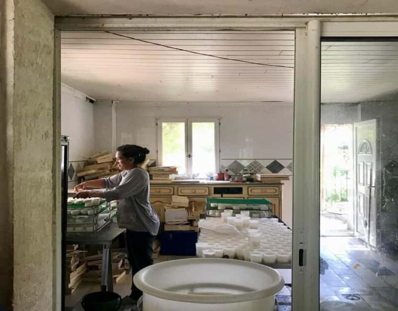 Alpilles: Discover vineyards and farms by electric bike - Discovering Provence on Two Wheels: What to Expect