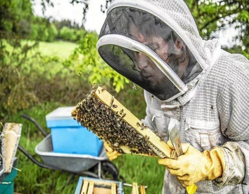 Alpilles: Discover vineyards and farms by electric bike - Why the Guides Make a Difference