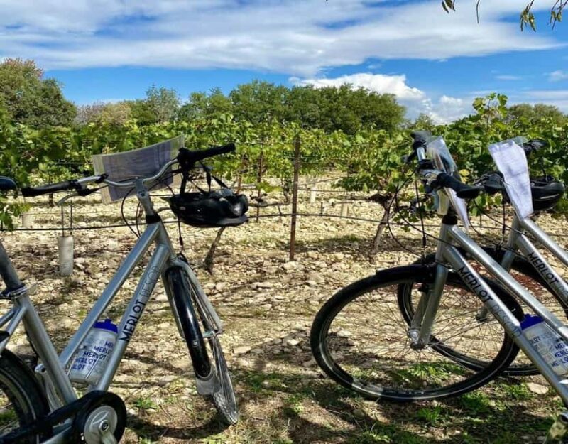 Alpilles: Discover vineyards and farms by electric bike - The Experience on the Ground
