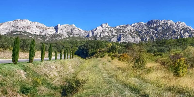 Alpilles: Discover vineyards and farms by electric bike - Why You’ll Love This Tour
