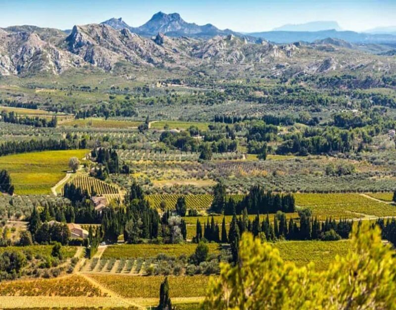 Alpilles: Discover vineyards and farms by electric bike - What’s Included and What’s Not
