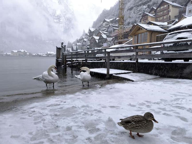 Alpine Beauty & Fairytale Towns: Hallstatt & Salzburg Tour - Key Points