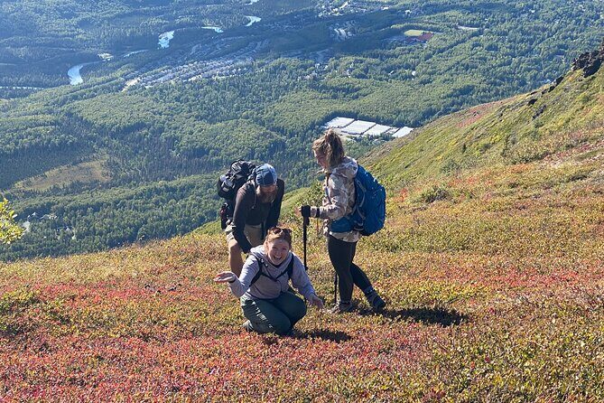 Alpine Classic Trek - Key Points